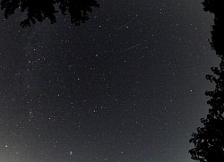 Simultaneous Perseids, from the Rustic Lakes Campground in Sullivan, Ohio in 2015